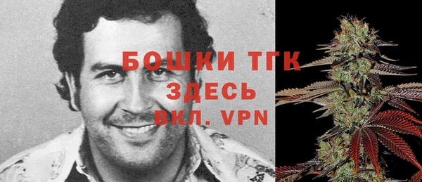 PSILOCYBIN Алексеевка