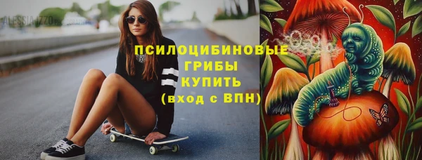 PSILOCYBIN Алексеевка