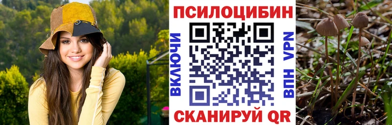 Галлюциногенные грибы ЛСД  ОМГ ОМГ ССЫЛКА  Оса  закладка 